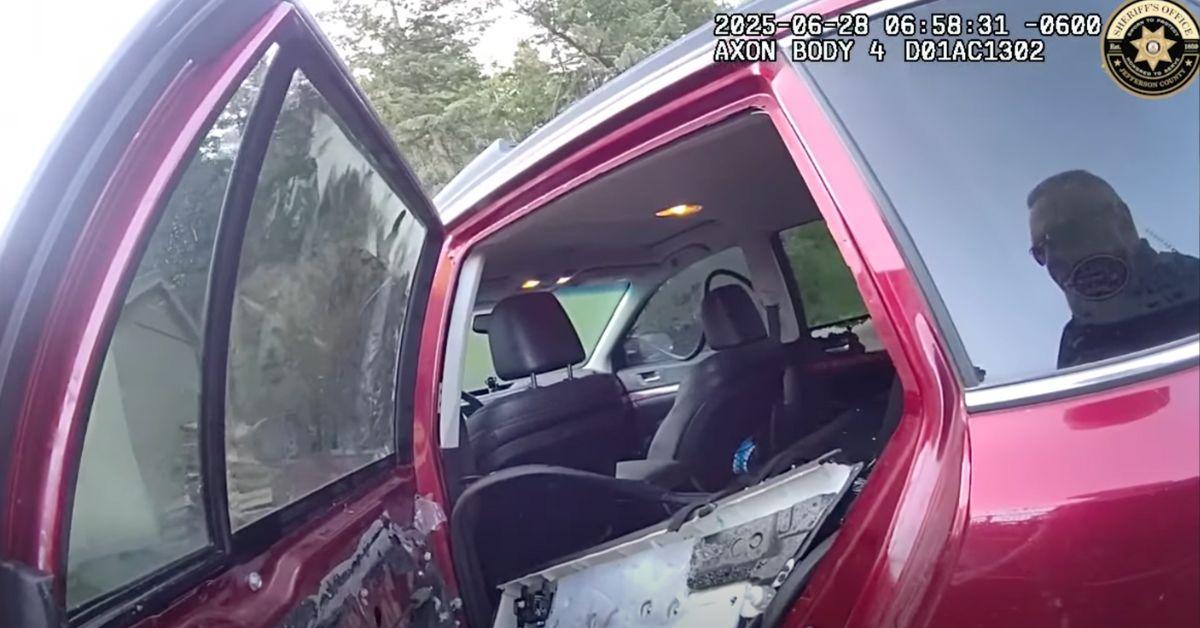 Image of The bear totally destroyed the car's interior.