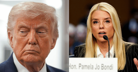 Pam Bondi was the second cabinet official ousted by the President this year.