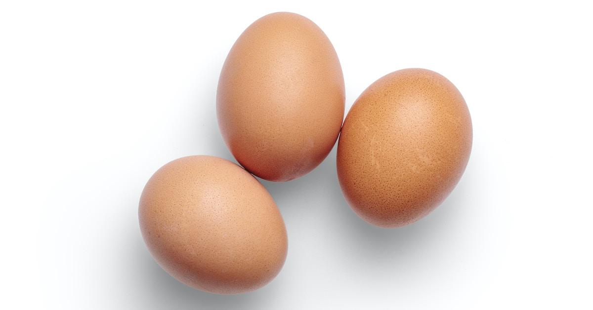 eggs