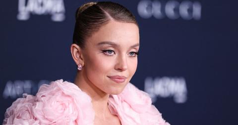 'Euphoria' Star Sydney Sweeney Definitely Wants Kids — 4 To Be Exact