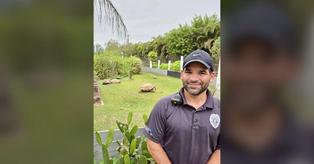 Image of A lost African tortoise was brought to a local sanctuary before being reunited with its owners.