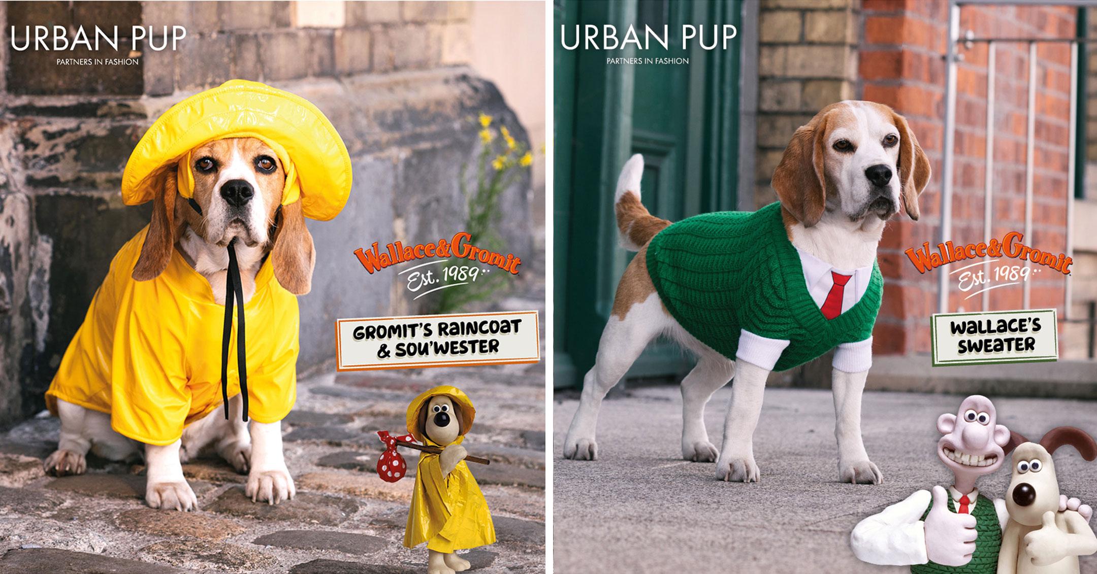 wallace and gromit outfits for dogs pp