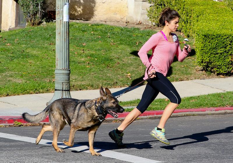 nikki reed gushes life kids