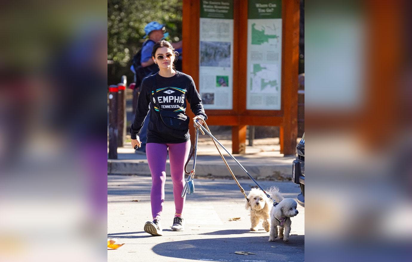 lucy hale walking her dogs beverly hills