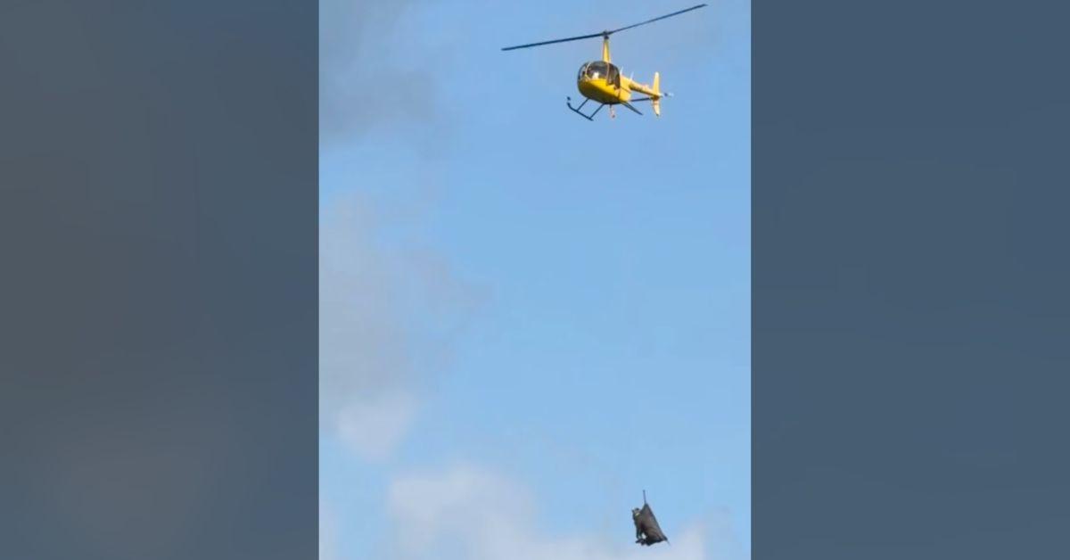 Image of Ed was airlifted via helicopter.