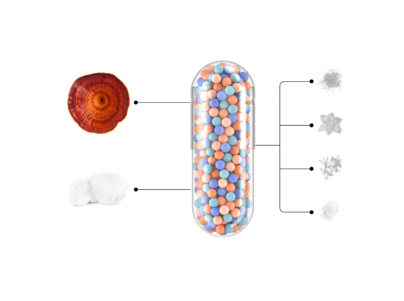 brain benefits of mushrooms shop