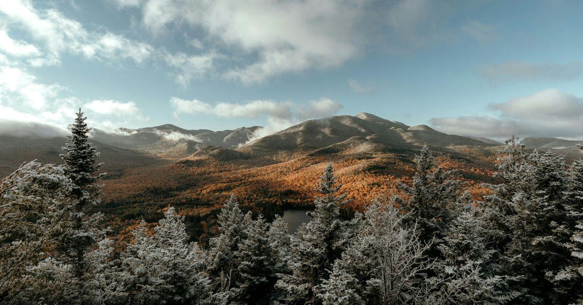 image of There were an estimated 600–700 moose in the Adirondack mountains as of 2018.