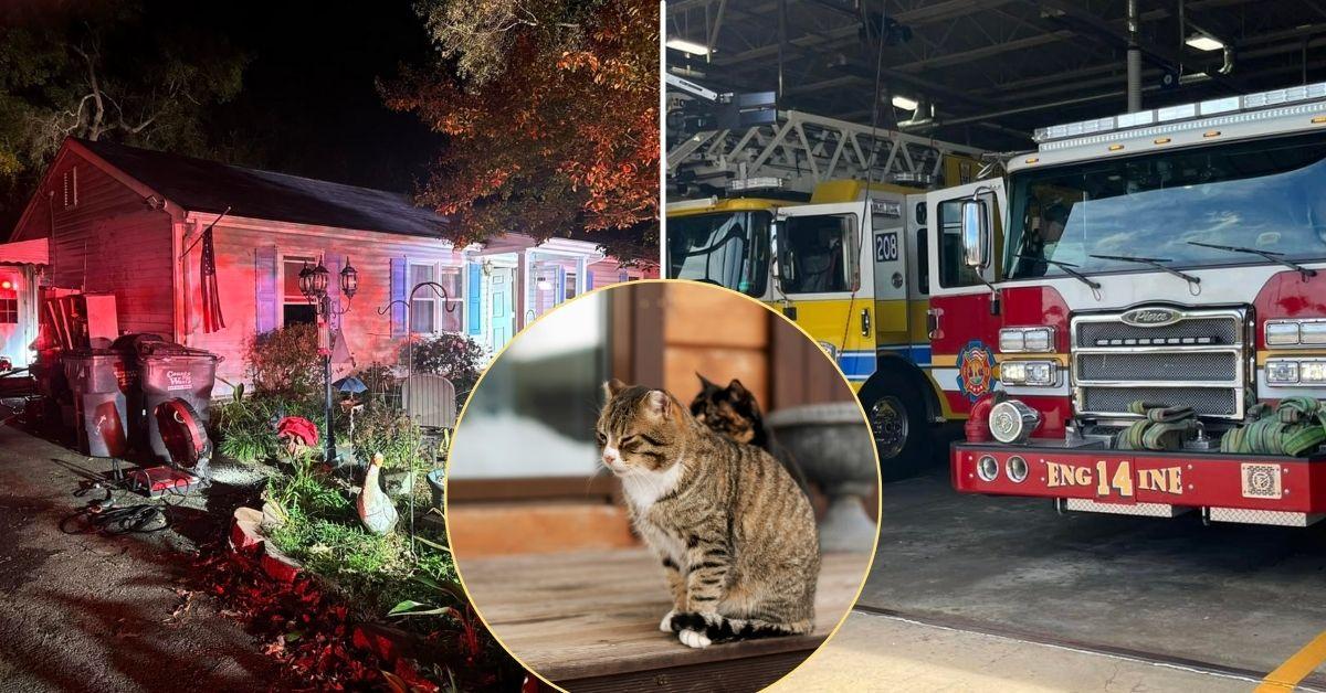 Image of Firefighters successfully rescued several pets from a Virginia house fire.