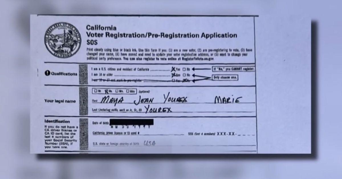 Image of Maya Jean Yourex, a dog, was able to cast a ballot in the state of California.