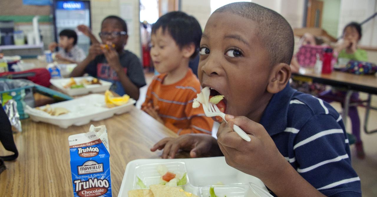 Five Customizable School Lunches For Picky Eaters