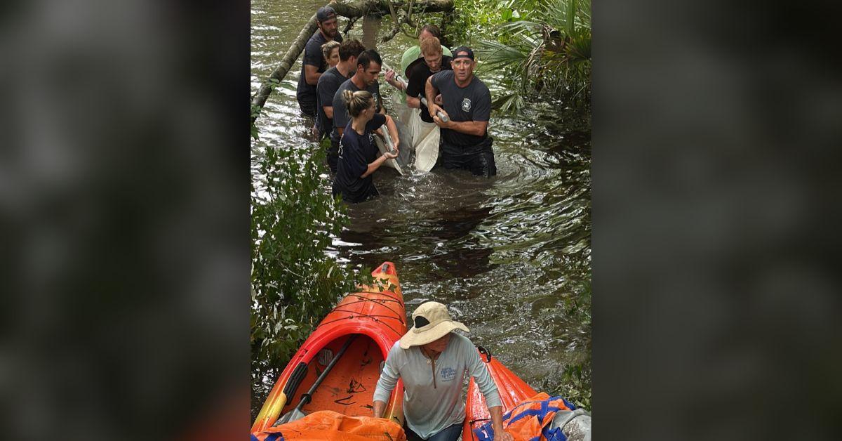 Image of Lucky is huge — weighing up to 500 pounds.
