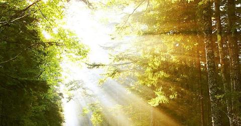 Ways To Boost Your Mood & Become Happier Naturally