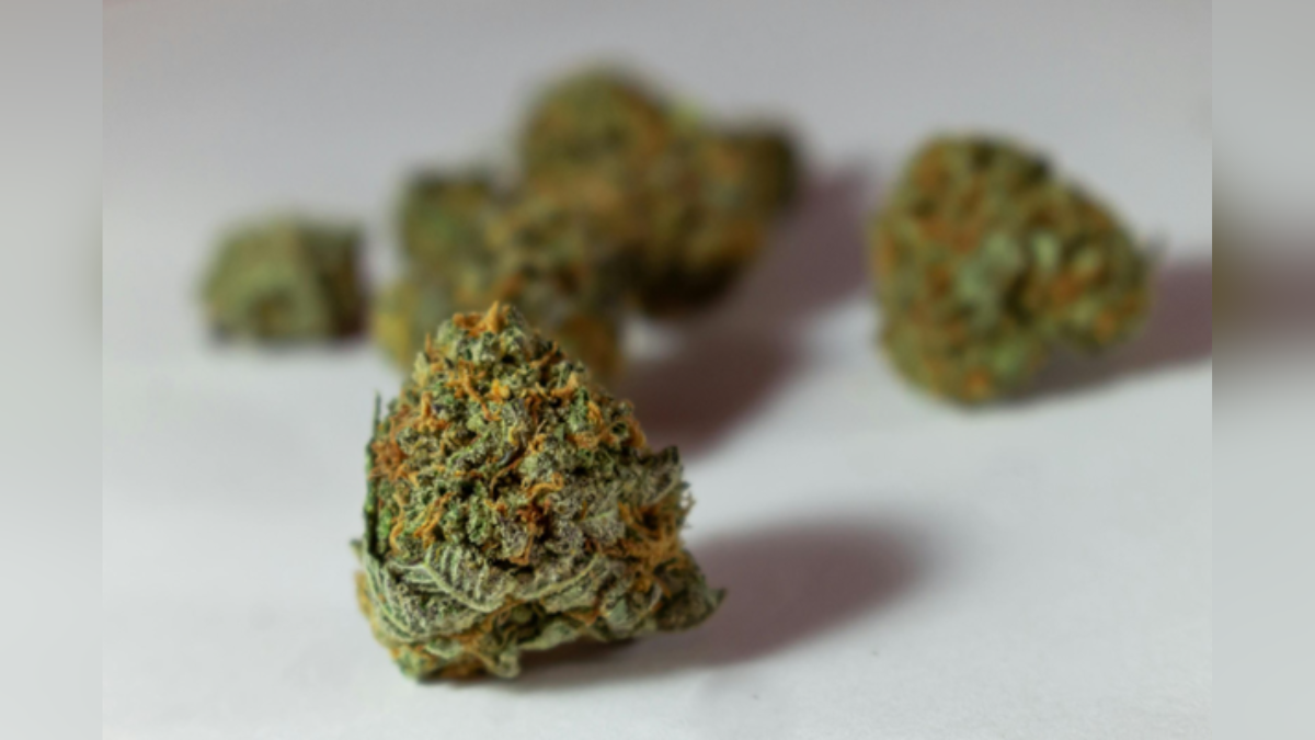 valerie juliet valdez circle inset image templates  x  px