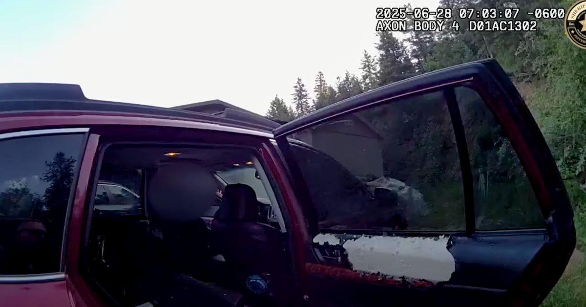 Image of The officer warned the car's owner to practice bear safety measures.