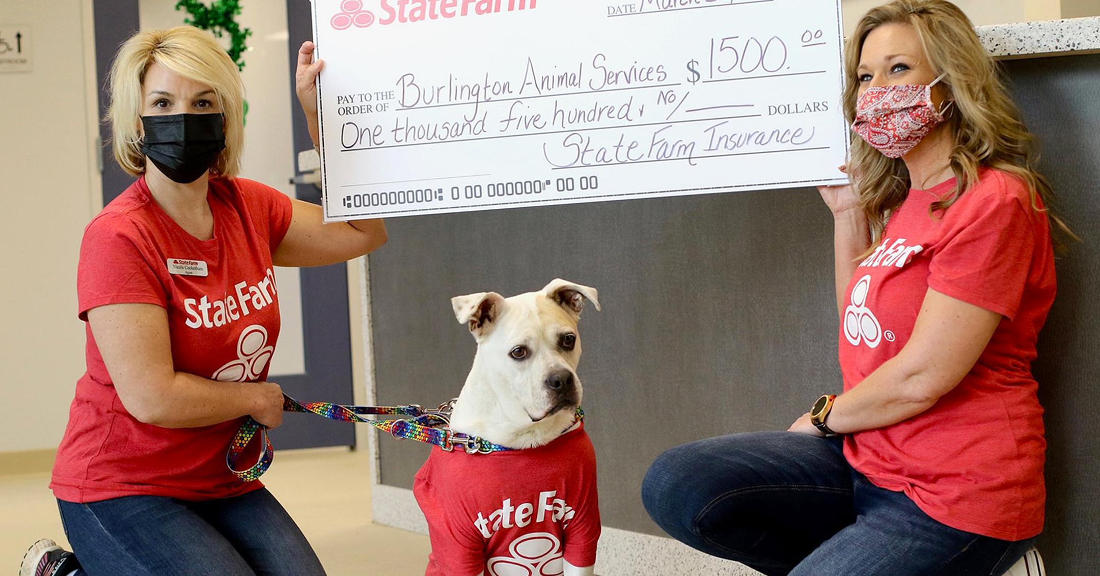 shelter pooch named jake from state farm adopted