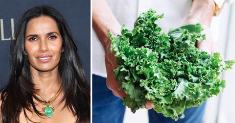 padma lakshmi recipe kale mozzarella pomegranate salad