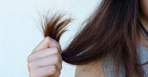 olaplex dupe makeup revolution shop