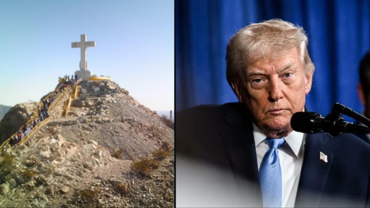 Donald Trump's admin is suing in a border wall fight.