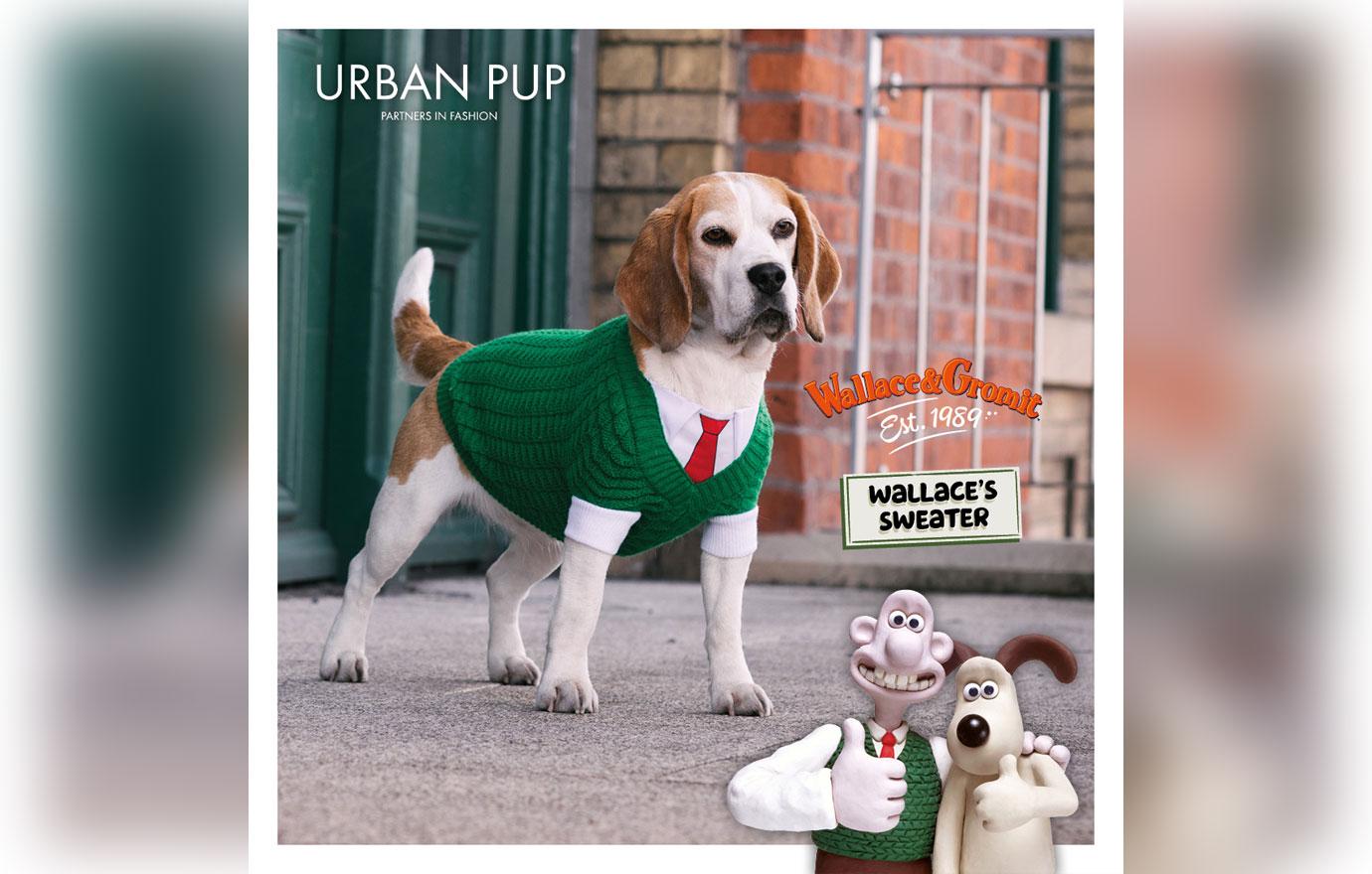 wallace and gromit outfits for dogs