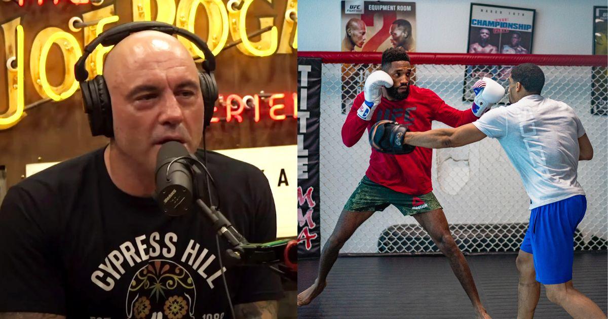 Joe Rogan on his podcast, alongside two UFC people 