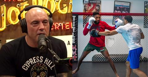 Joe Rogan on his podcast, alongside two UFC people