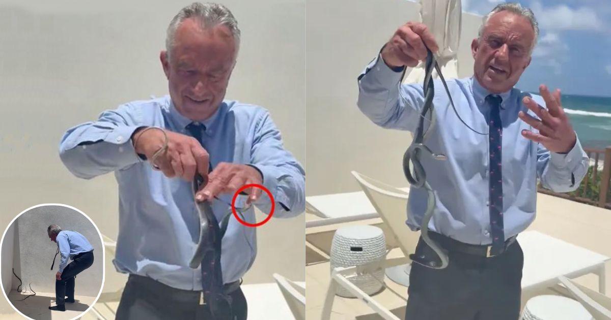 Robert F. Kennedy Jr snakes RFK Jr