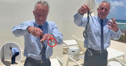 Robert F. Kennedy Jr snakes RFK Jr