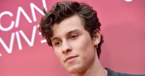 shawn mendes hard time with social media