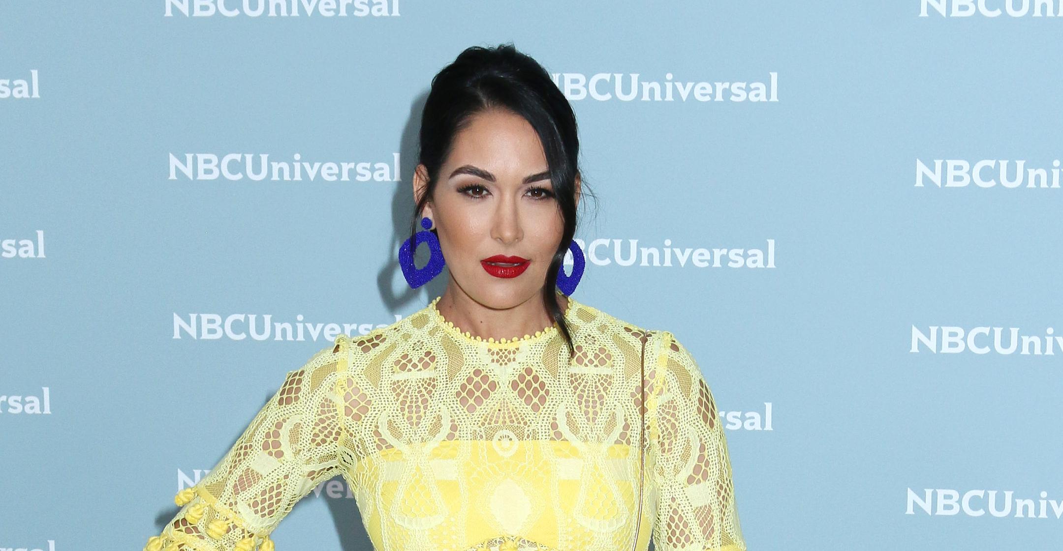 Brie Bella Shares Empowering Pic Of Her Body 9 Months Post-Baby