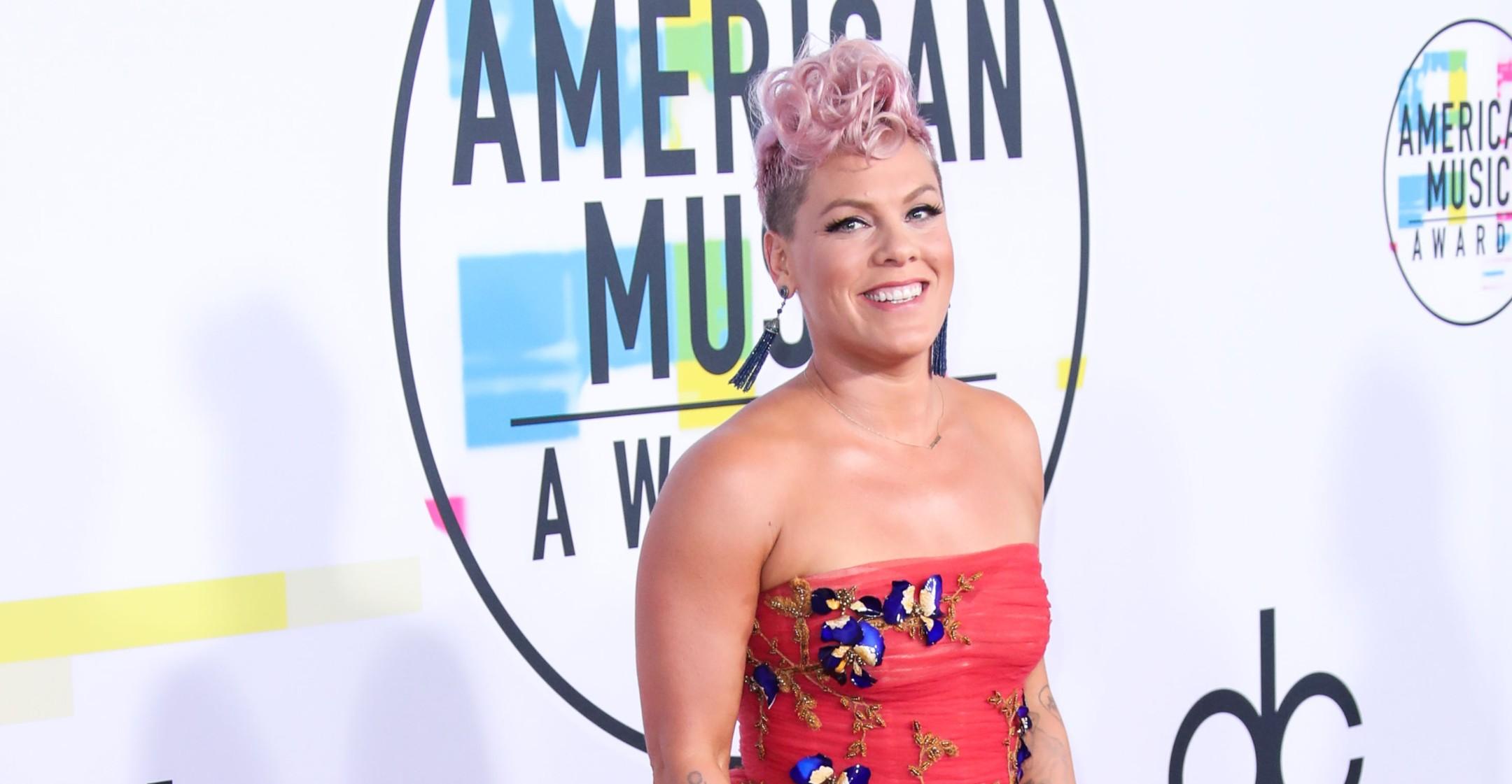 Pink's Daughter Willow Sings In TikTok Debut Watch