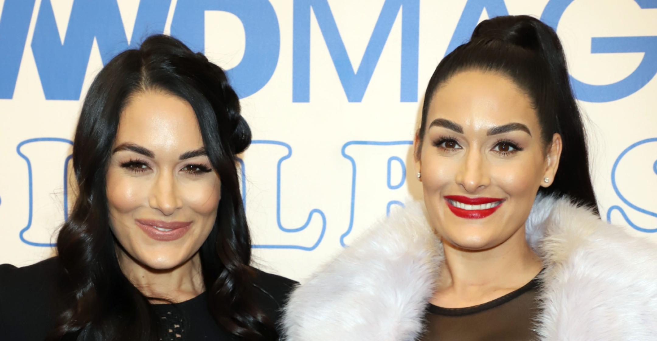 Brie Bella Shares Empowering Pic Of Her Body 9 Months Post-Baby