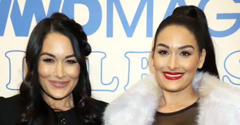 nikki bella body discussing insecurities with sister brie