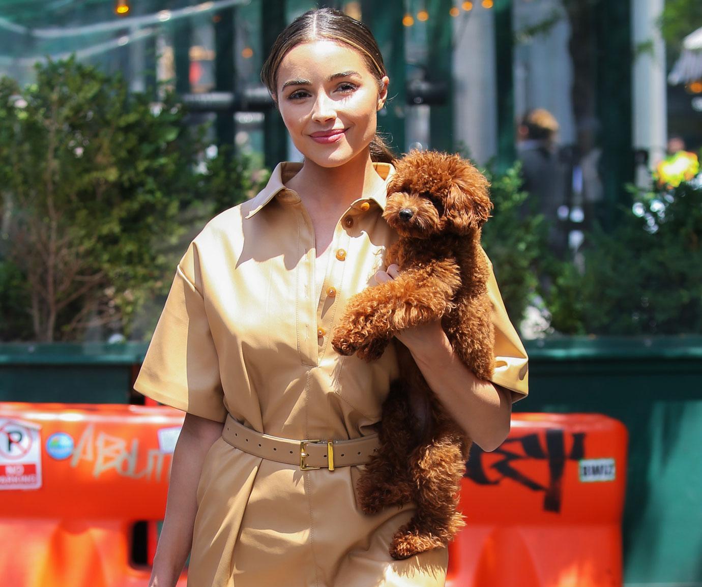 olivia culpo seen with puppy while leaving gemma restaurant in nyc