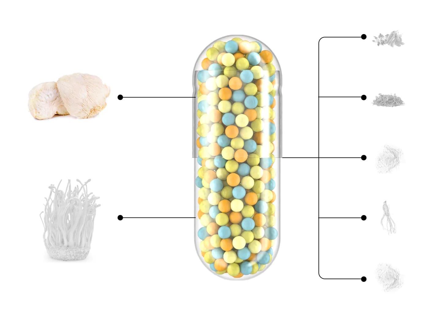 brain benefits of mushrooms shop