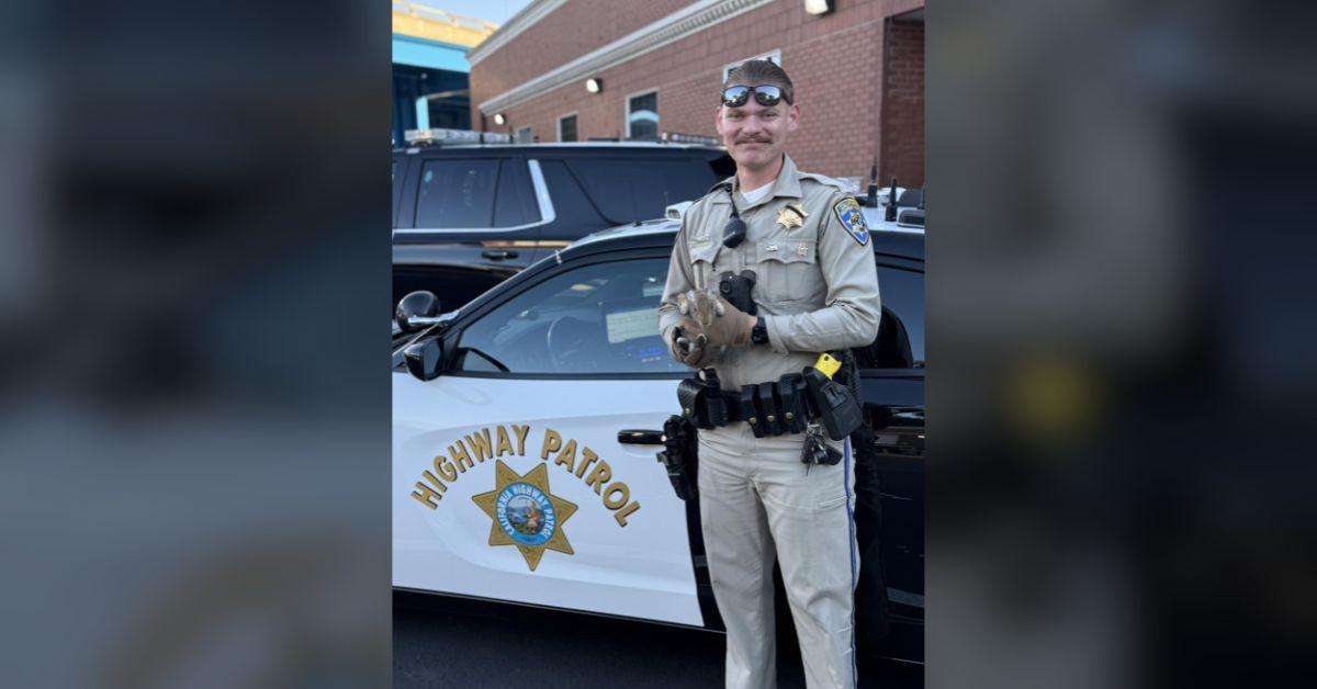 image of The post was filled with puns.