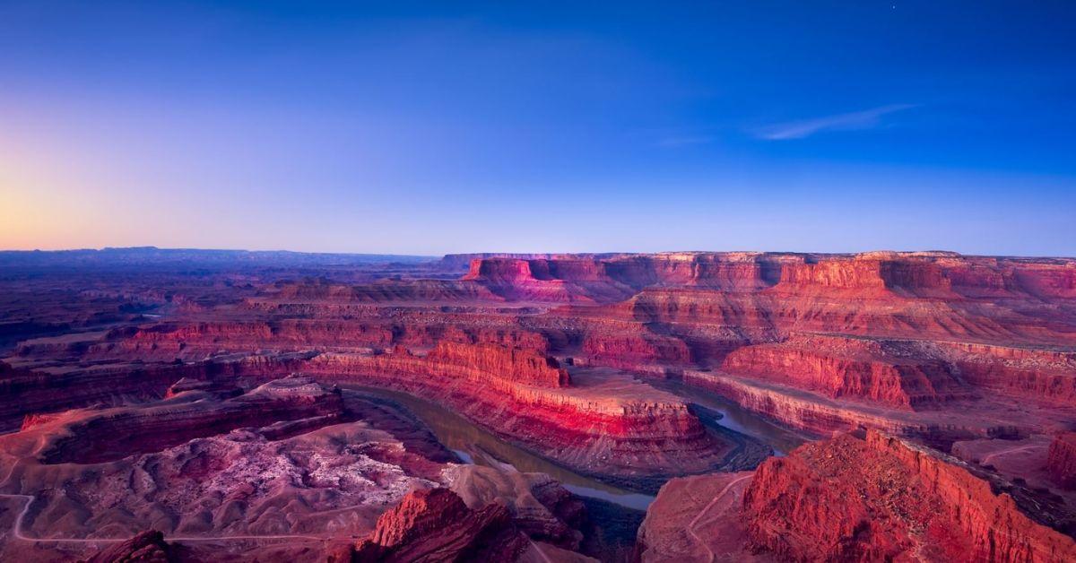 Image of Utah's mountains and canyons are a natural habitat for black bears.