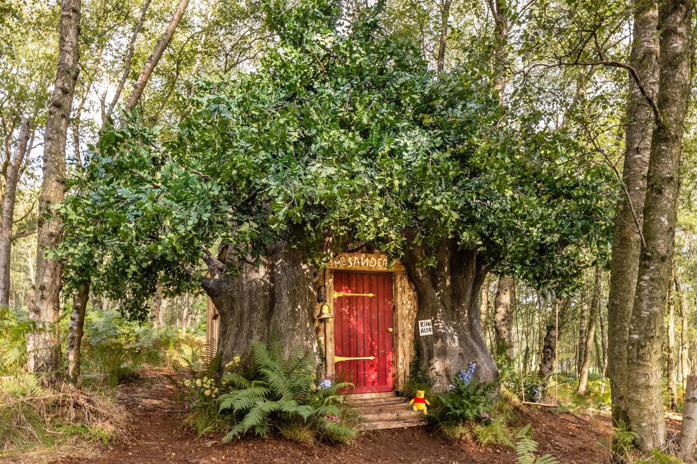 a winnie the pooh inspired house in the hundred acre wood is available to book on airbnb