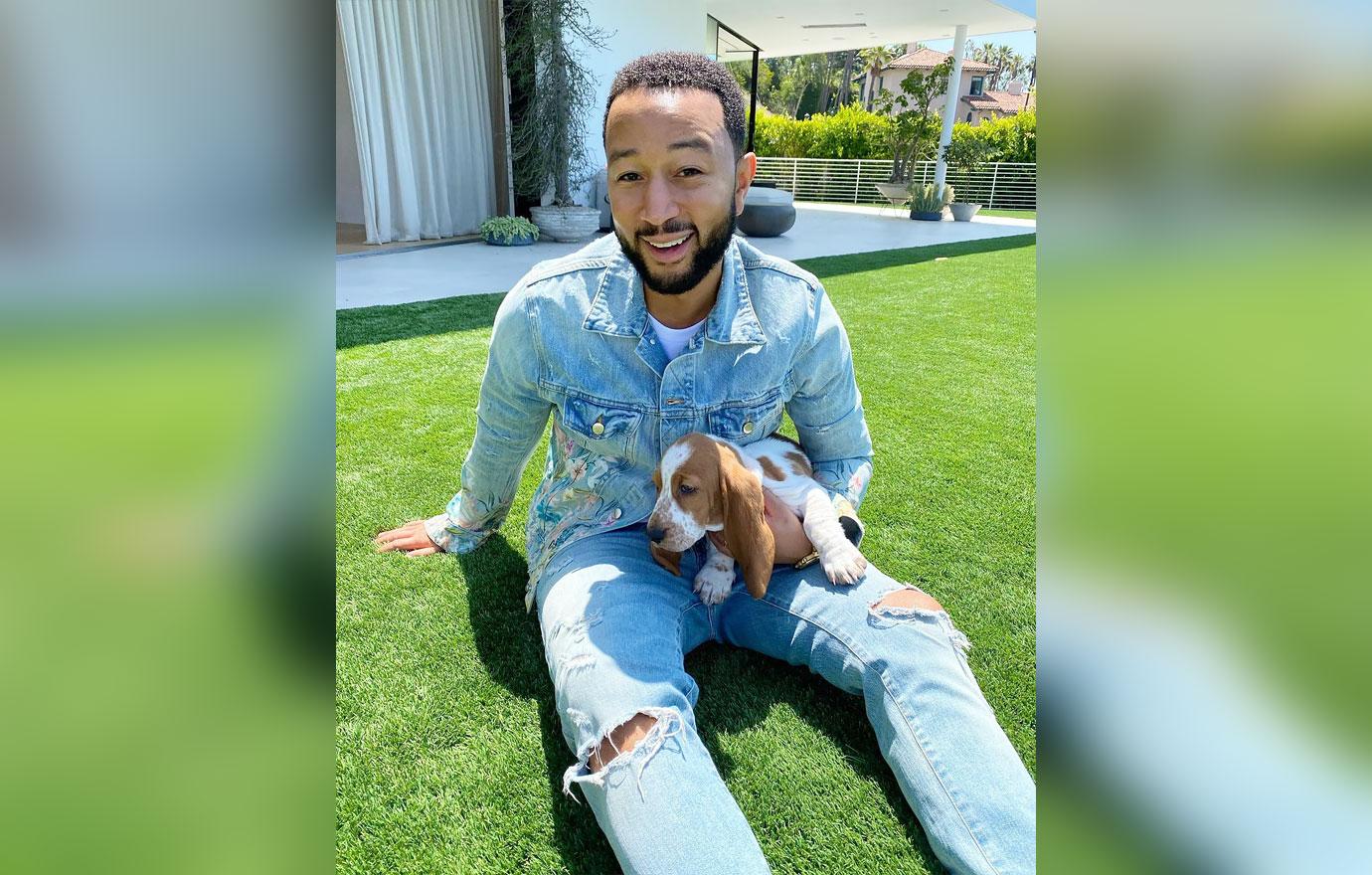 chrissy teigen john legend adopt adorable basset hound