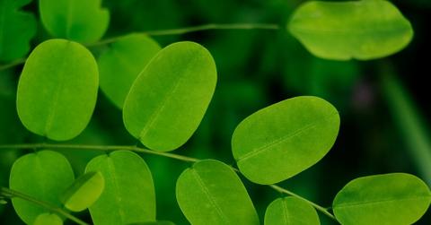 resultneha maheen mahfin wovjoipwgy unsplash