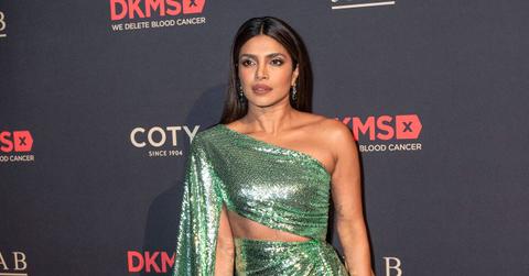 priyanka chopra motherhood pp