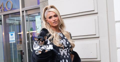 paris hilton sighting in nyc pp