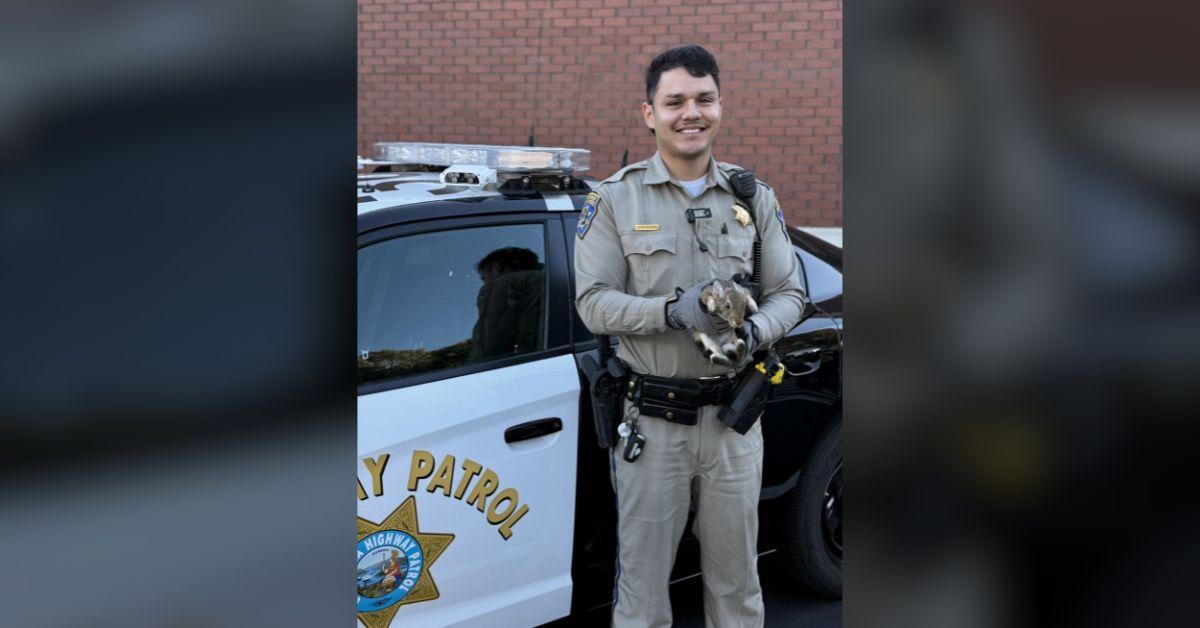 image of People were super grateful for the update.