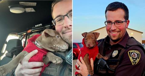 Image of An abandoned puppy was named Tom after the state trooper who found him.