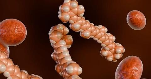 Photo of a bioactive molecule.