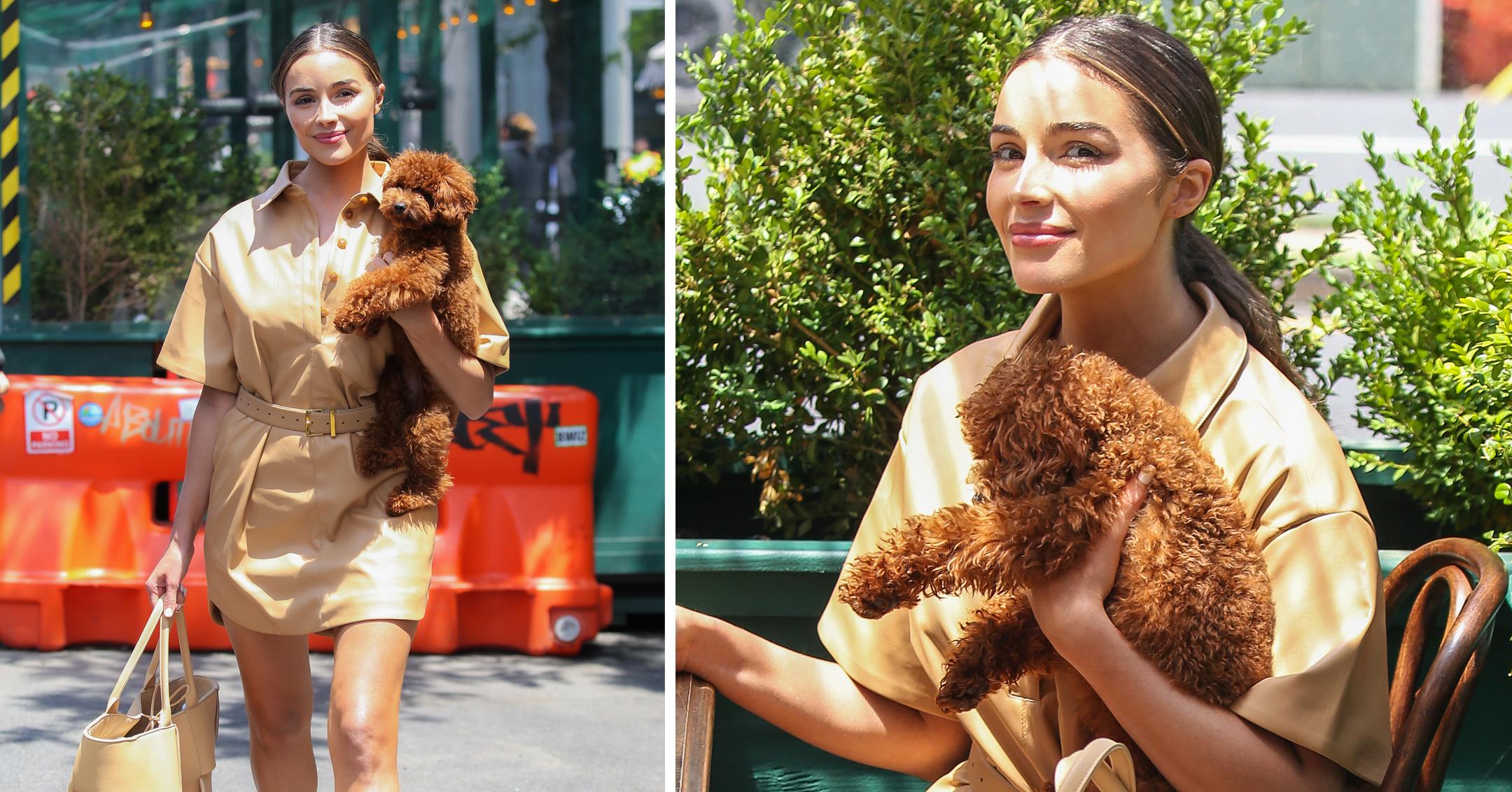 olivia culpo seen with puppy while leaving gemma restaurant in nyc