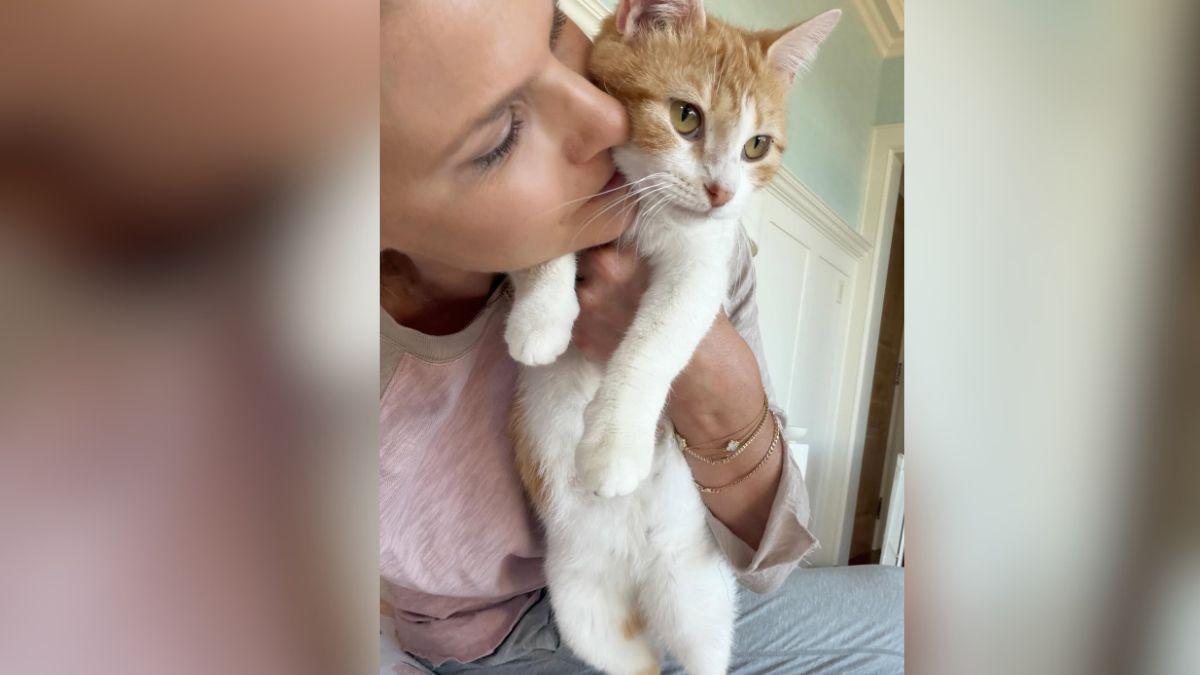 image of Beth Stern loves to foster pets. 