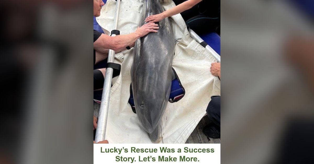 Image of LMMN was really proud that they were able to rescue Lucky.