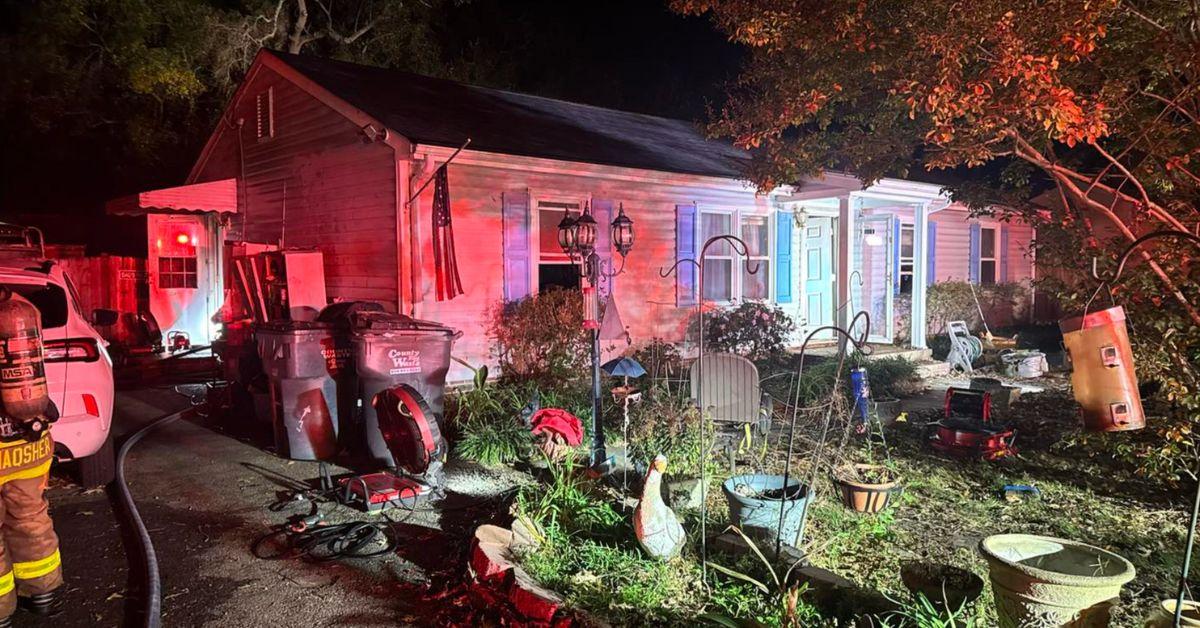 image of Two dogs and 'several' dogs were rescued from a house fire in Virginia.