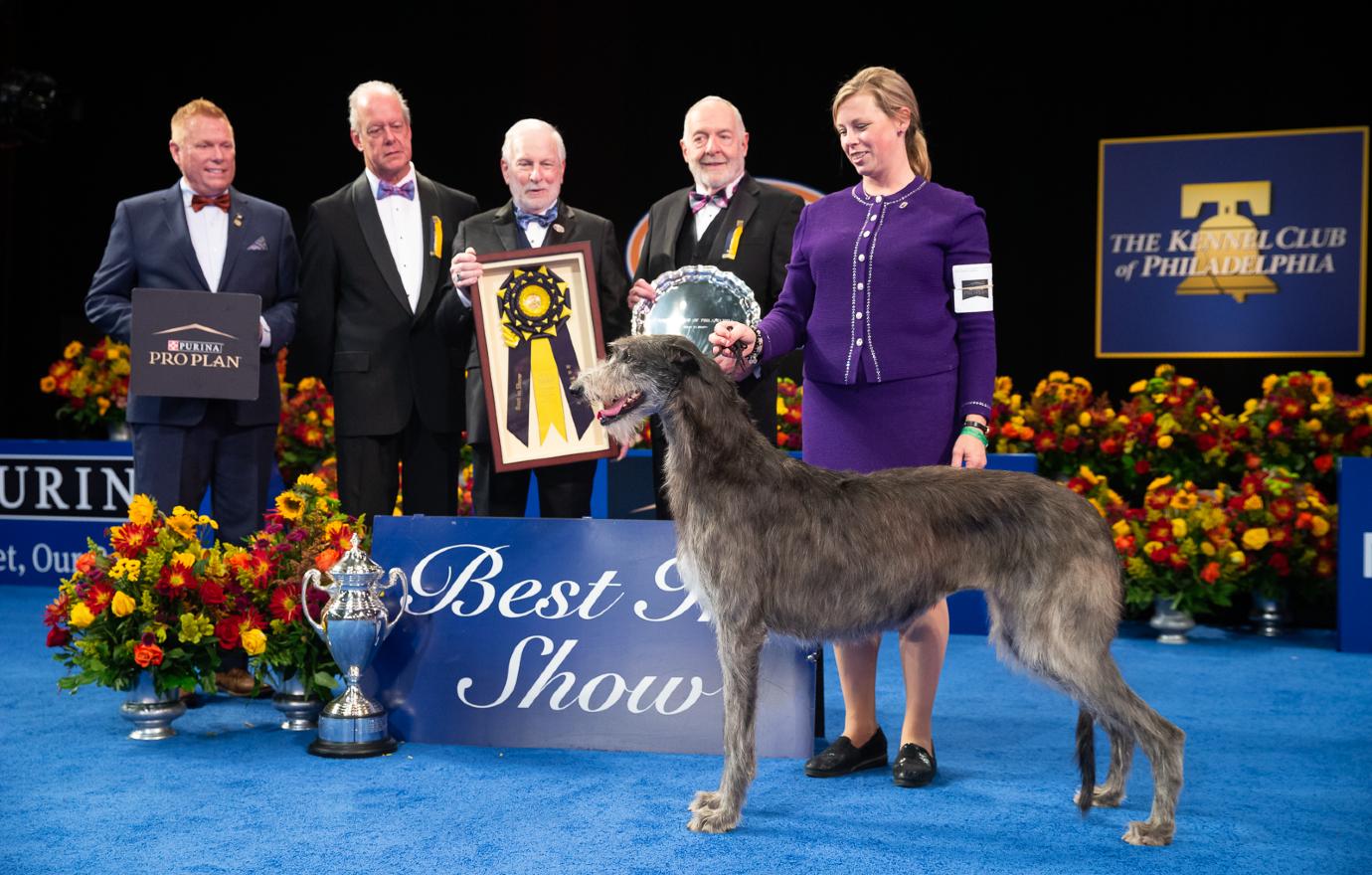 how much do you win for the national dog show