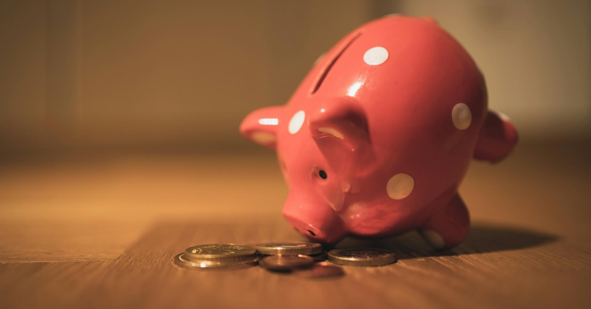 Photo of a piggy bank. 